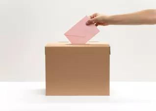 élections professionnelles