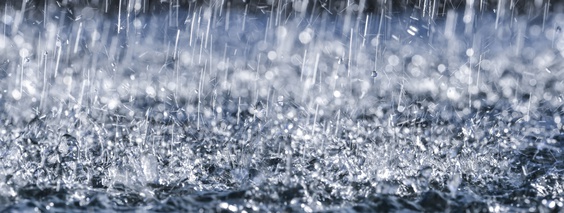 Eau de pluie