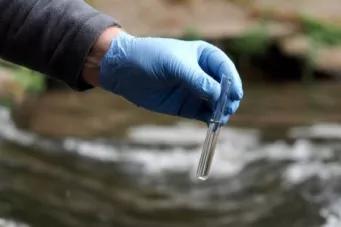 prélèvement d'eau dans la nature dans un tube à essai