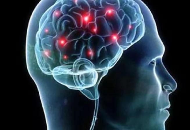 Plan maladies neurodégénératives