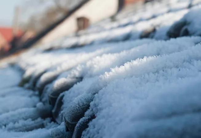 Froid