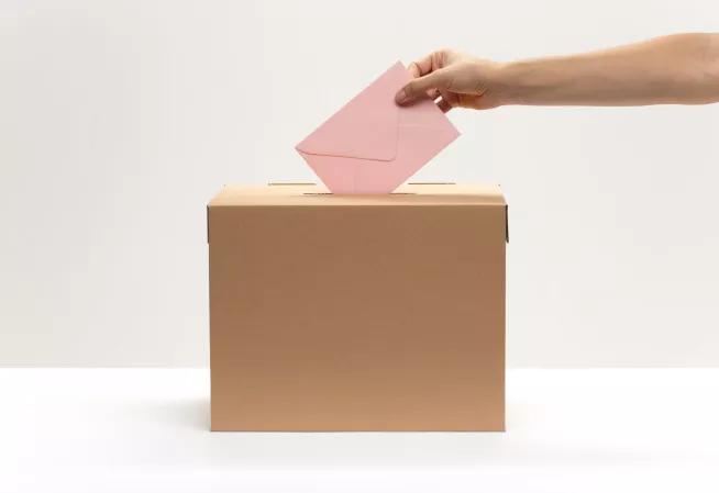élections professionnelles