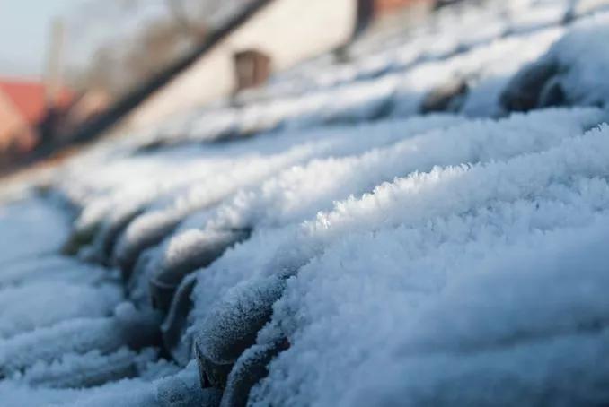 Froid